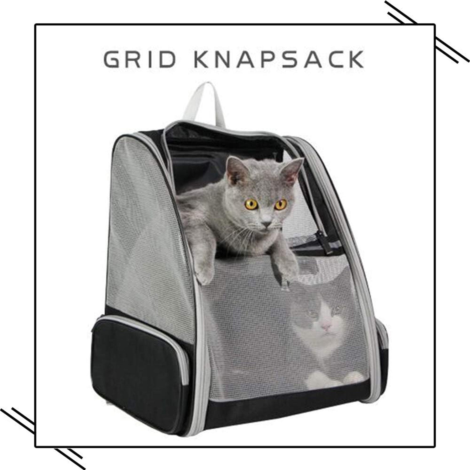 🔥 **#1 Bubble Pet Backpack!** Traveler-Designed Carrier⚡360° Airflow Windows🐾Comfy for Cats/Dogs【TikTok's Pet Travel Obsession】 🔥 **#1 Bubble Pet Backpack!** Traveler-Designed Carrier⚡360° Airflow Windows🐾Comfy for Cats/Dogs【TikTok's Pet Travel Obsession】